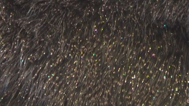 collection 4 golden glitter on finnraccoon